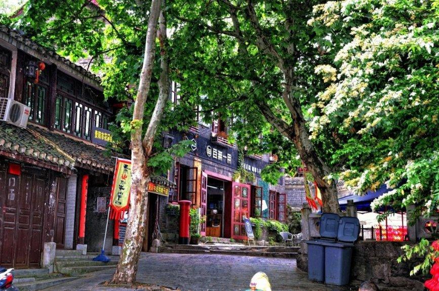 第35集《佛法修学概要》